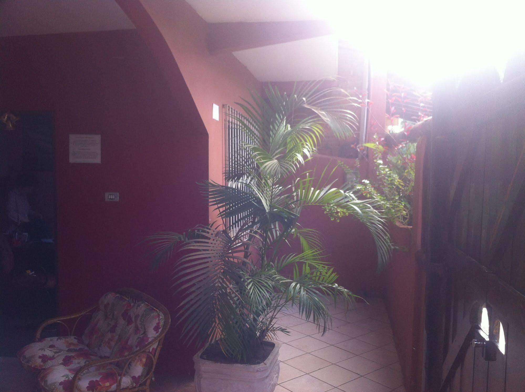 Inn Pico Praias